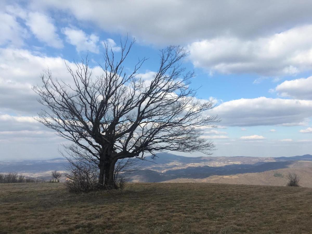 Etno Kuca Ostrvica Varnice