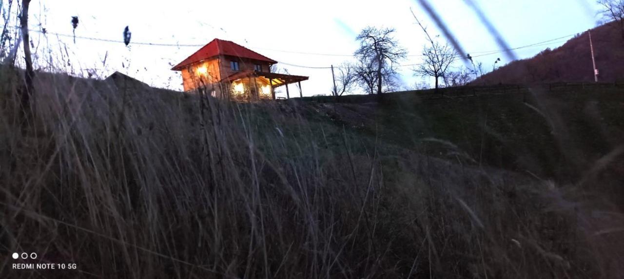 Etno Kuca Ostrvica Holiday home *