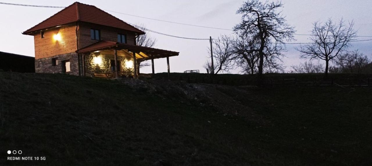 Etno Kuca Ostrvica Holiday home *