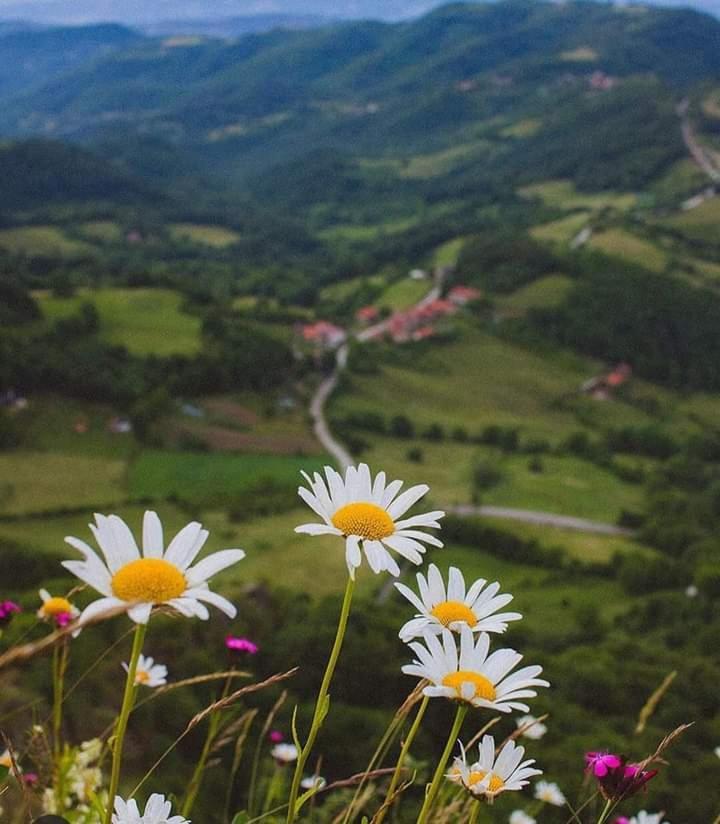 Etno Kuca Ostrvica * Varnice
