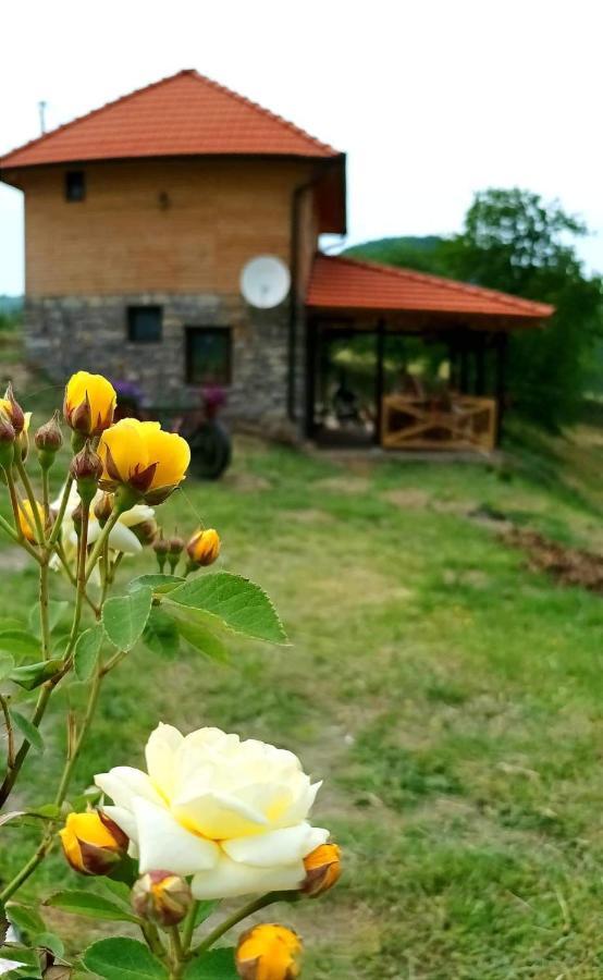 Holiday home Etno Kuca Ostrvica *