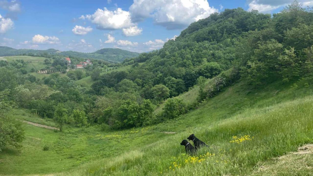 Holiday home Etno Kuca Ostrvica Varnice