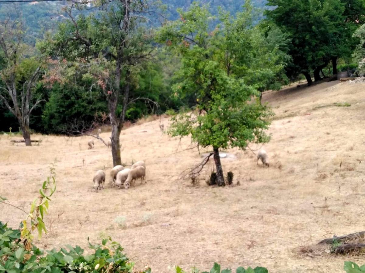 Holiday home Etno Kuca Ostrvica Varnice